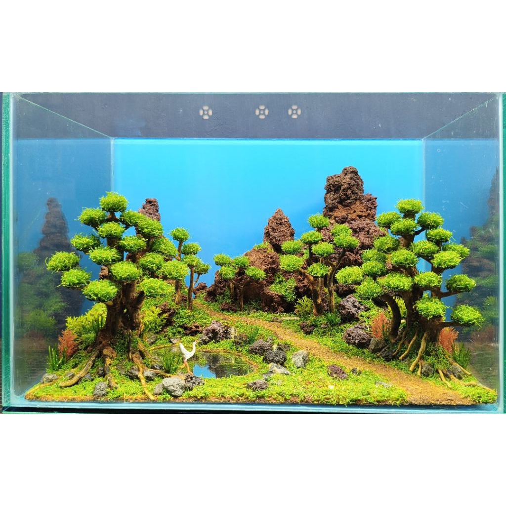 aquascape ukuran 40x25x25cm paket fullset gratis exstra packing kayu bable warp Wraping dan sterefom