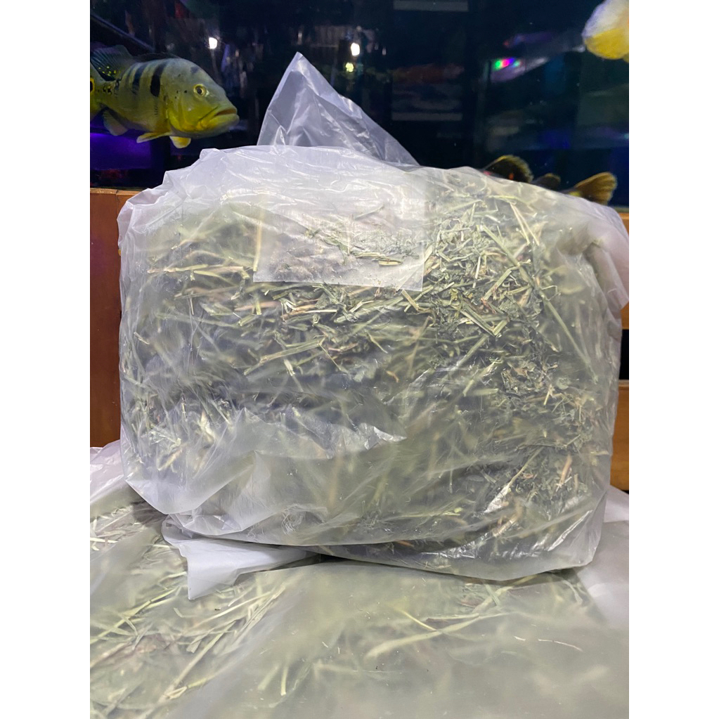 soft hay Alfafa 1kg