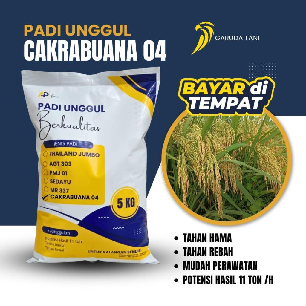 BENIH PADI CAKRABUANA 04 KEMASAN 5KG