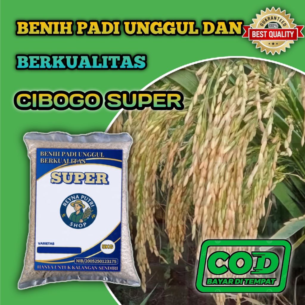 Benih padi cibogo super unggul kemasan 5kg