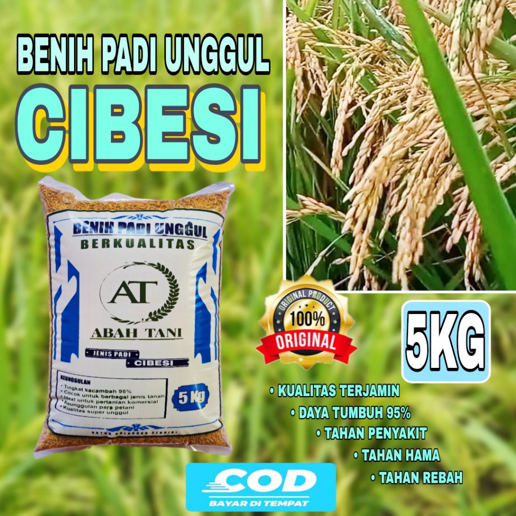BENIH PADI CIBESI KEMASAN 5KG BIBIT PADI UNGGUL ORIGINAL