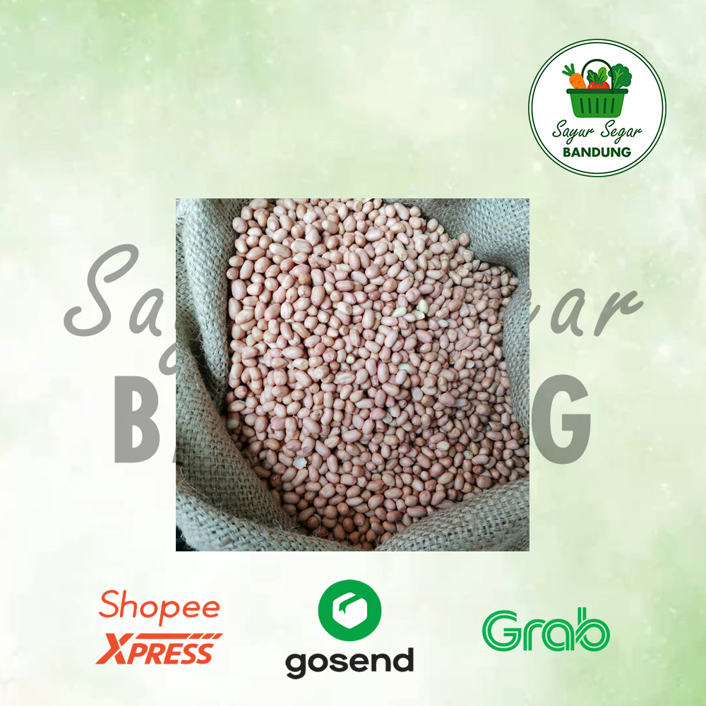 KACANG TANAH OB MENTAH 250gr / 500gr (1/2 Kg) Kualitas Super Kacang OB Grosir Kiloan Termurah