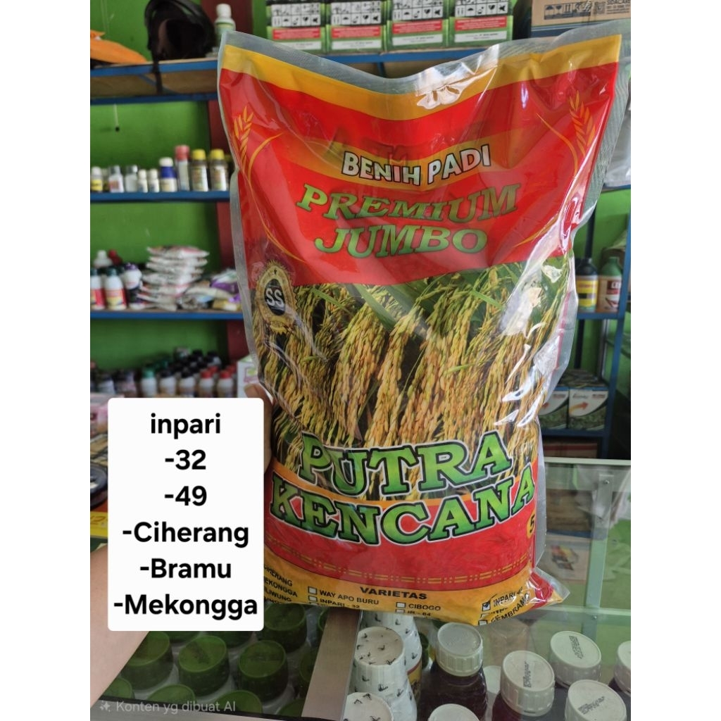 BENIH PADI PREMIUM JUMBO INPARI 32, 49, MEKONGGA, BRAMU, CIHERANG. KMS 5KG