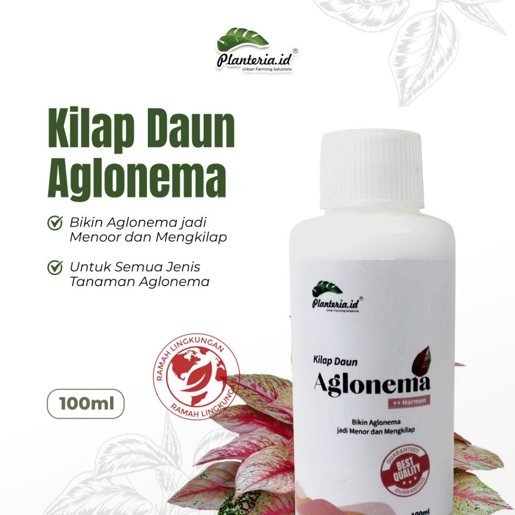 Kilap daun leafshine kilap daun aglonema 100 ml Organik untuk aglonema dan anthurium