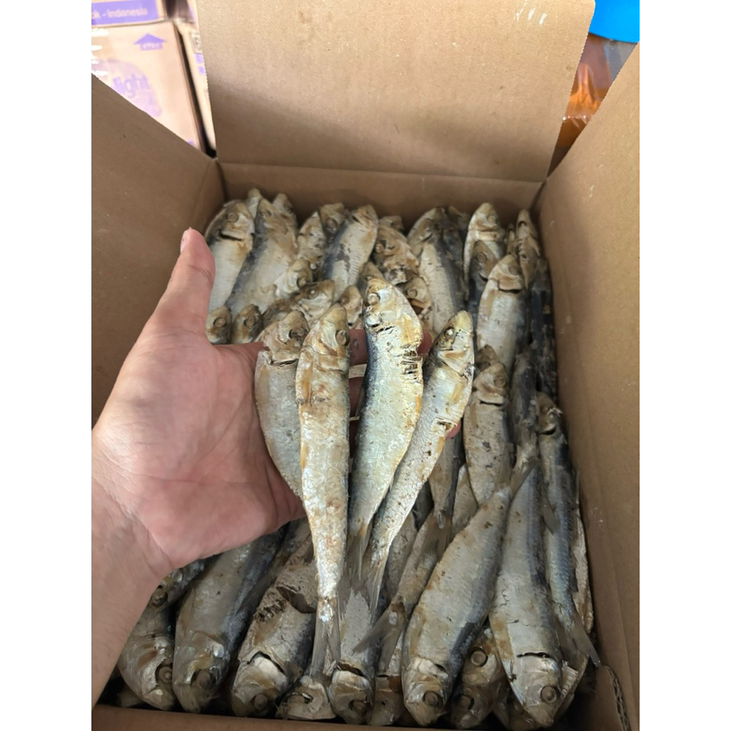 Ikan asin rebus kering super