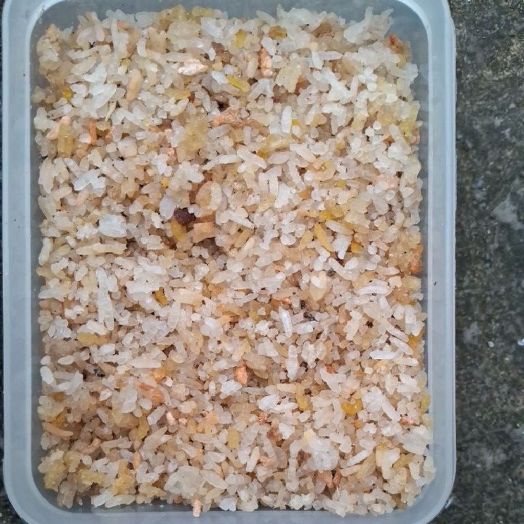 Nasi aking/Nasi kering
