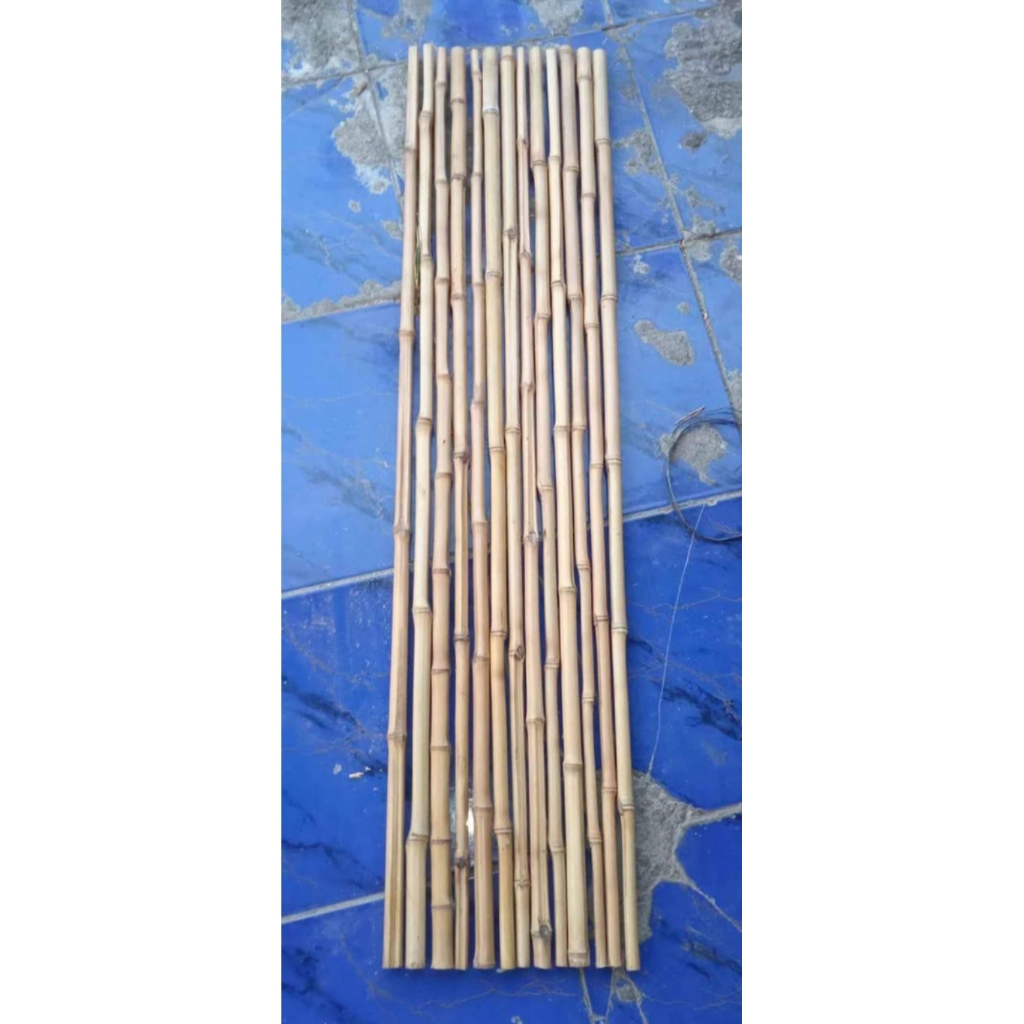 bambu cendani kecil kecil 1mtr