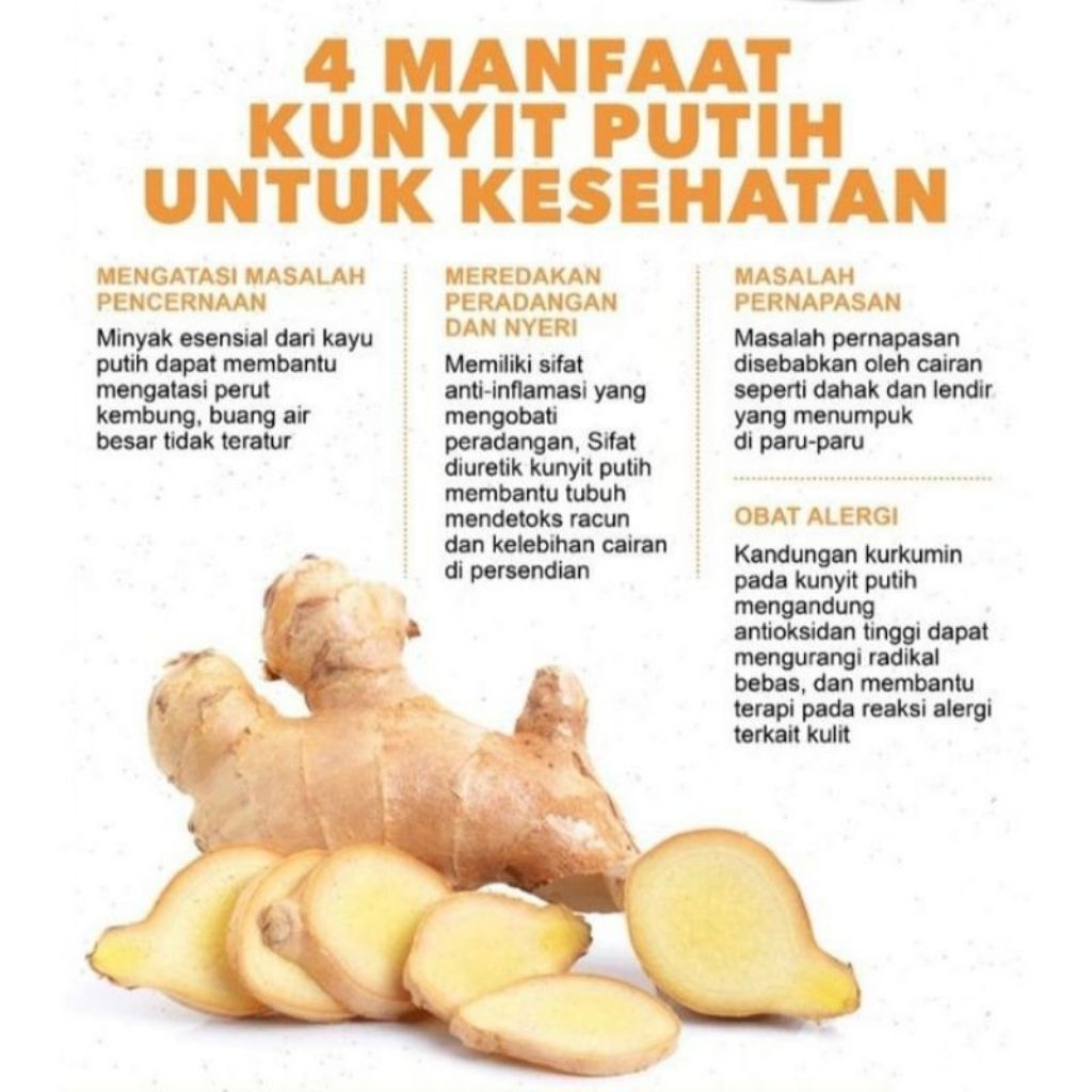 Temu putih kunyit putih herbal bnyk manfaat 1 kg