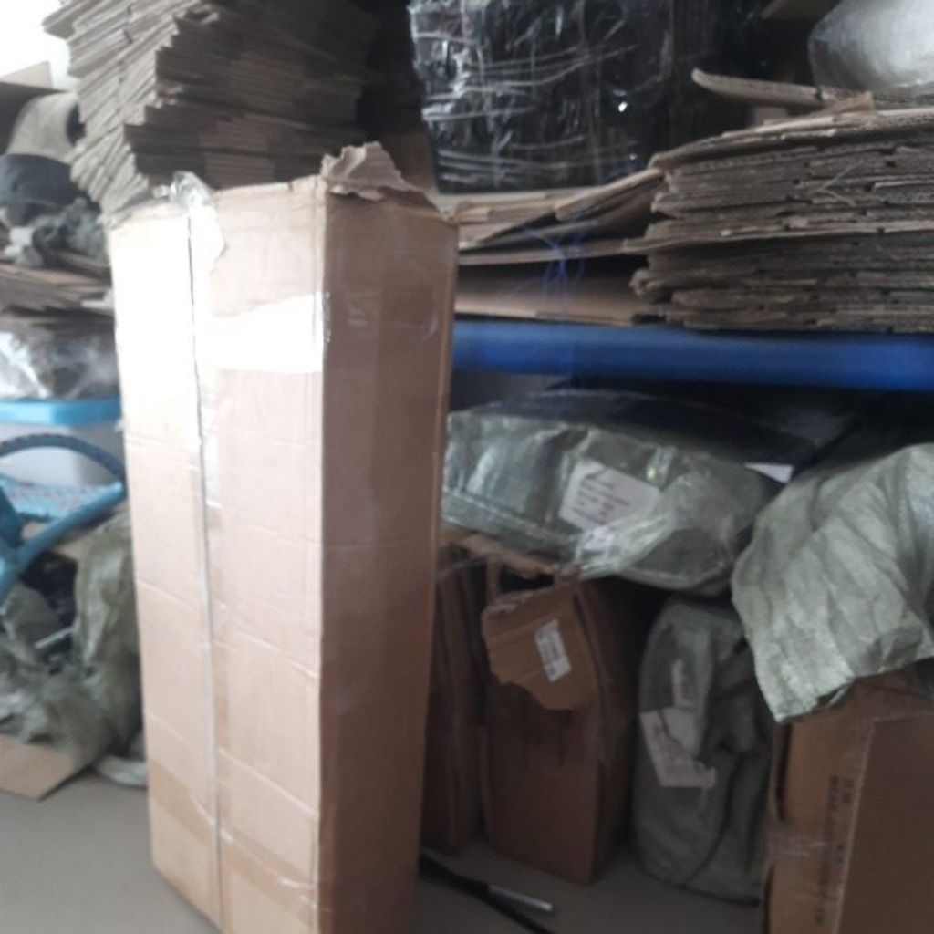 Burung Mainan Terbang