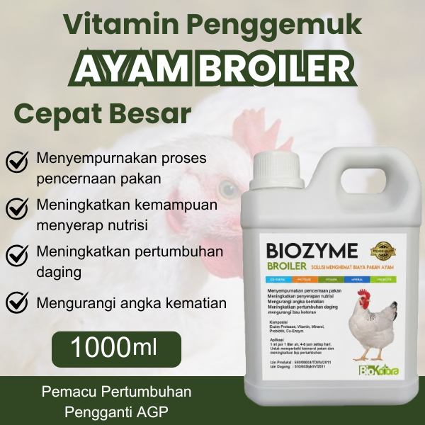 Biozyme Penggemuk Ayam Broiler Pemacu Pertumbuhan Pengganti Agp Meningkankan Bobot Daging