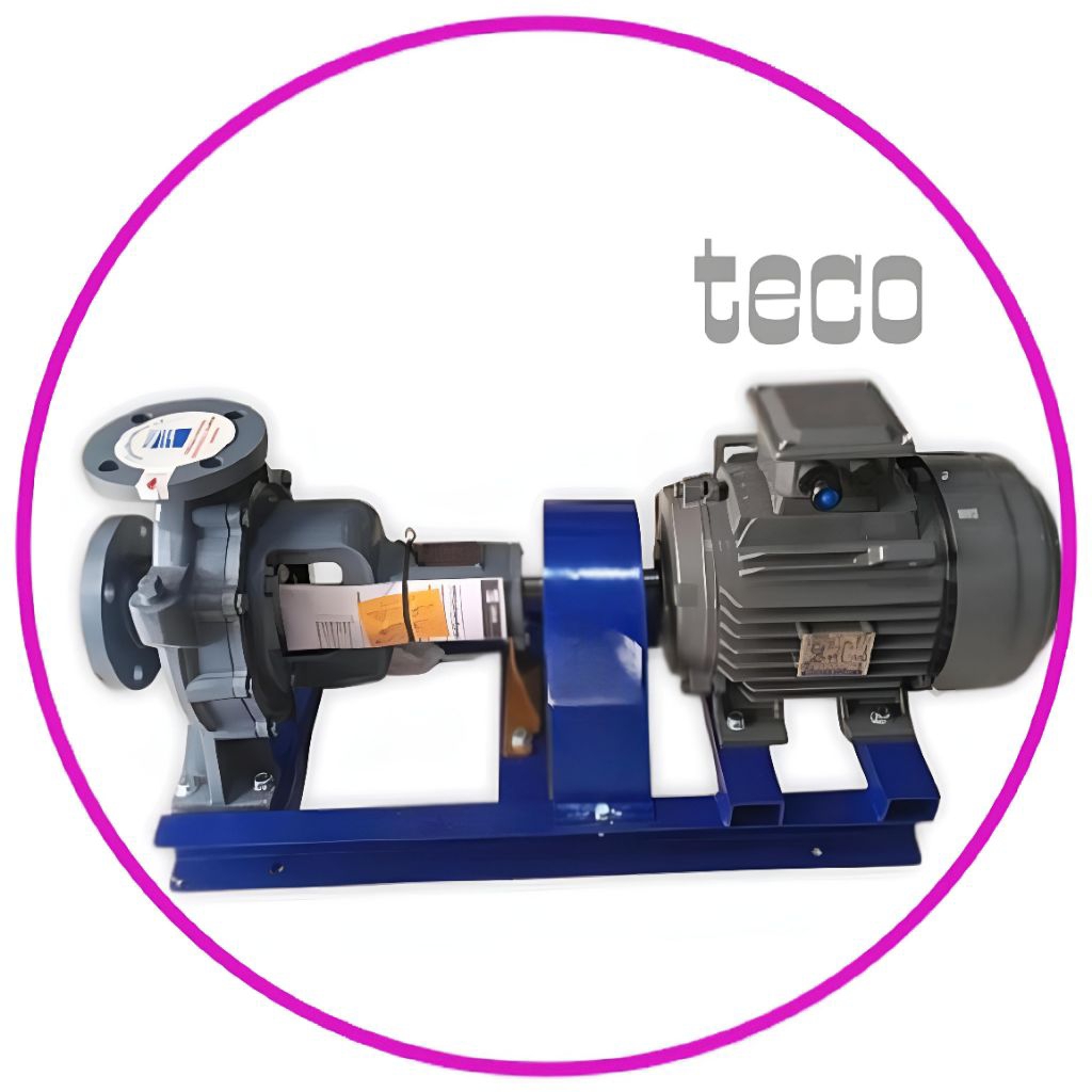 Pompa Centrifugal Ebara 150x125 FS4HA Gland paking + Teco 15kw 20Hp380v Sentrifugal