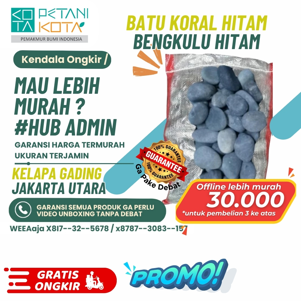 Batu TAMAN Hitam Bengkulu 1 Karung Alam Koral Sikat Hias Kecil Sedang Besar Coral Aquarium Akuarium
