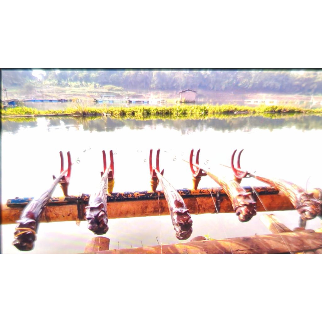 Joran Timbang Set 5 Pahul Naga Kayu