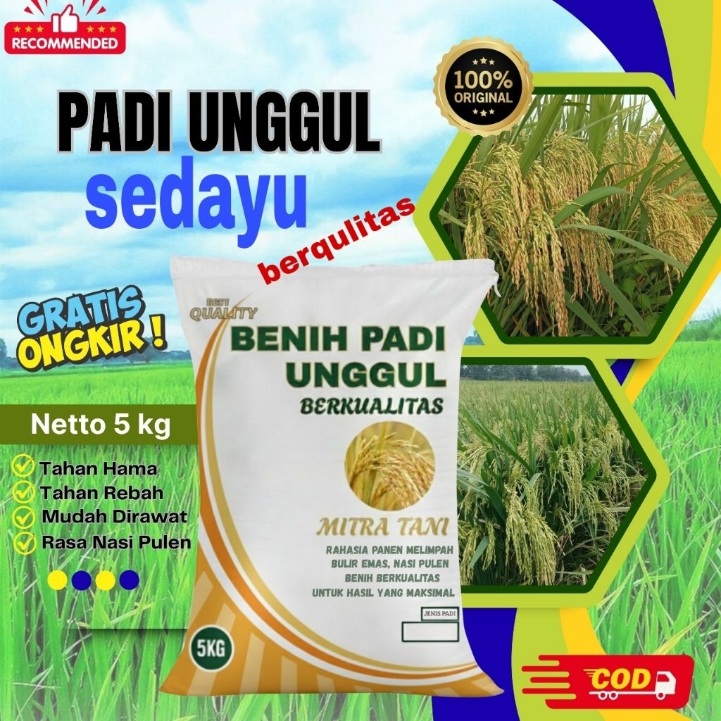 bibit padi SEDAYU kemasan 5kg