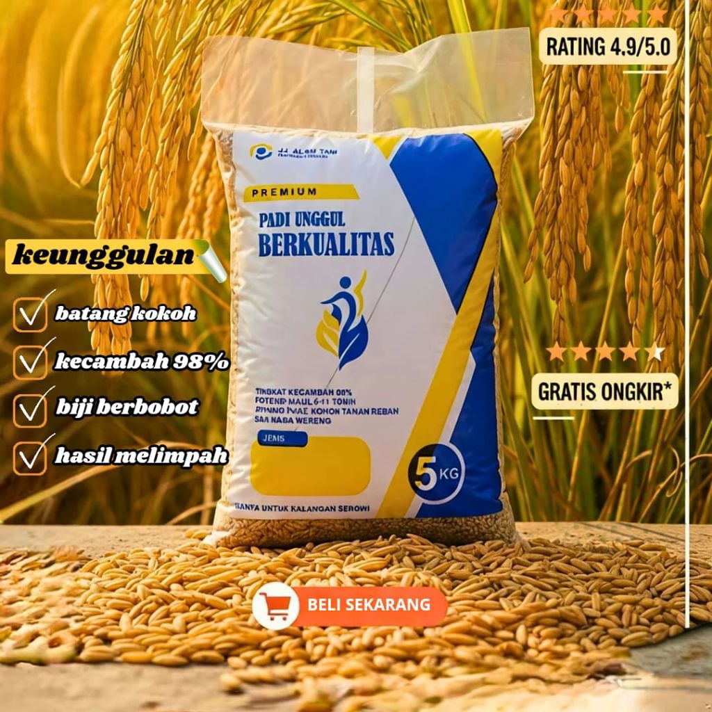 padi m 400 kemasan 5kg bibit unggulan padi super