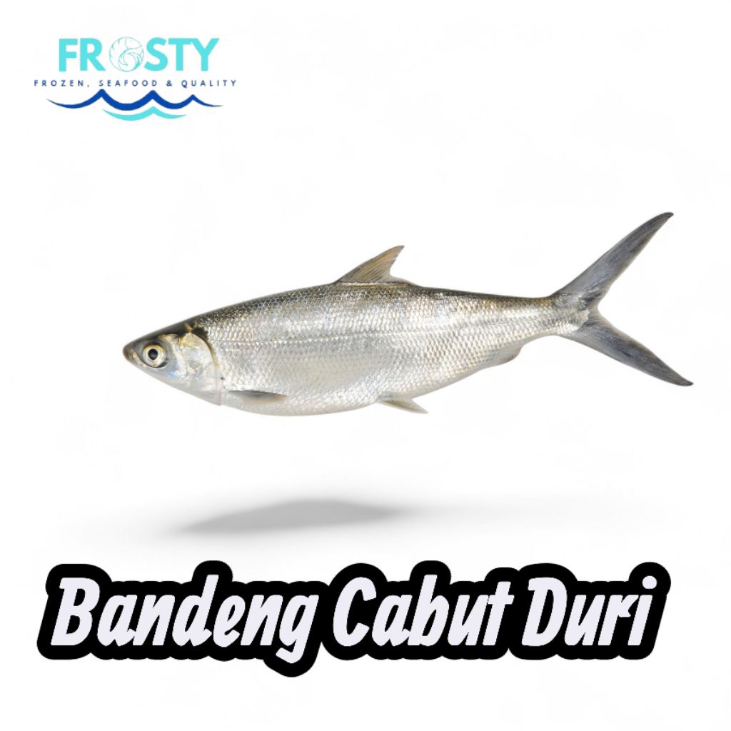 Bandeng Cabut Duri / Ikan Bandeng Utuh / Ikan Bandeng Fillet / Bandeng Presto