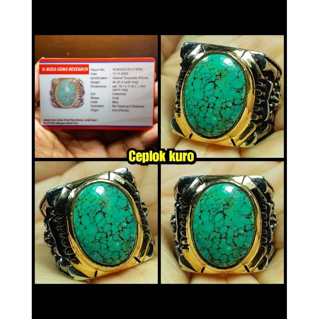 pirus ijo daun persia kedondong ceplok kuro