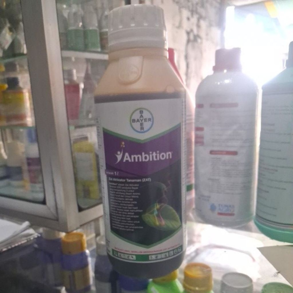 ambition 1 liter