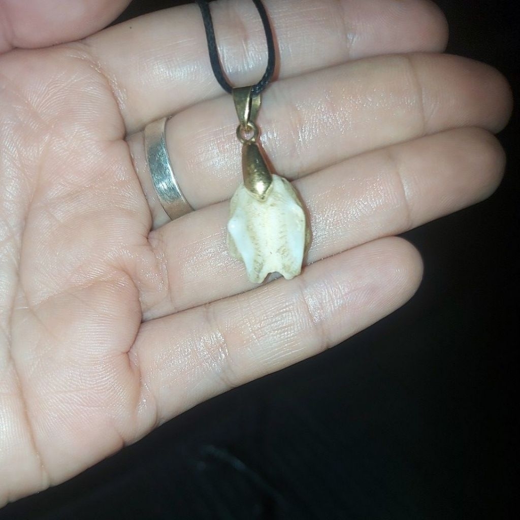 mustika ikan pari dampit