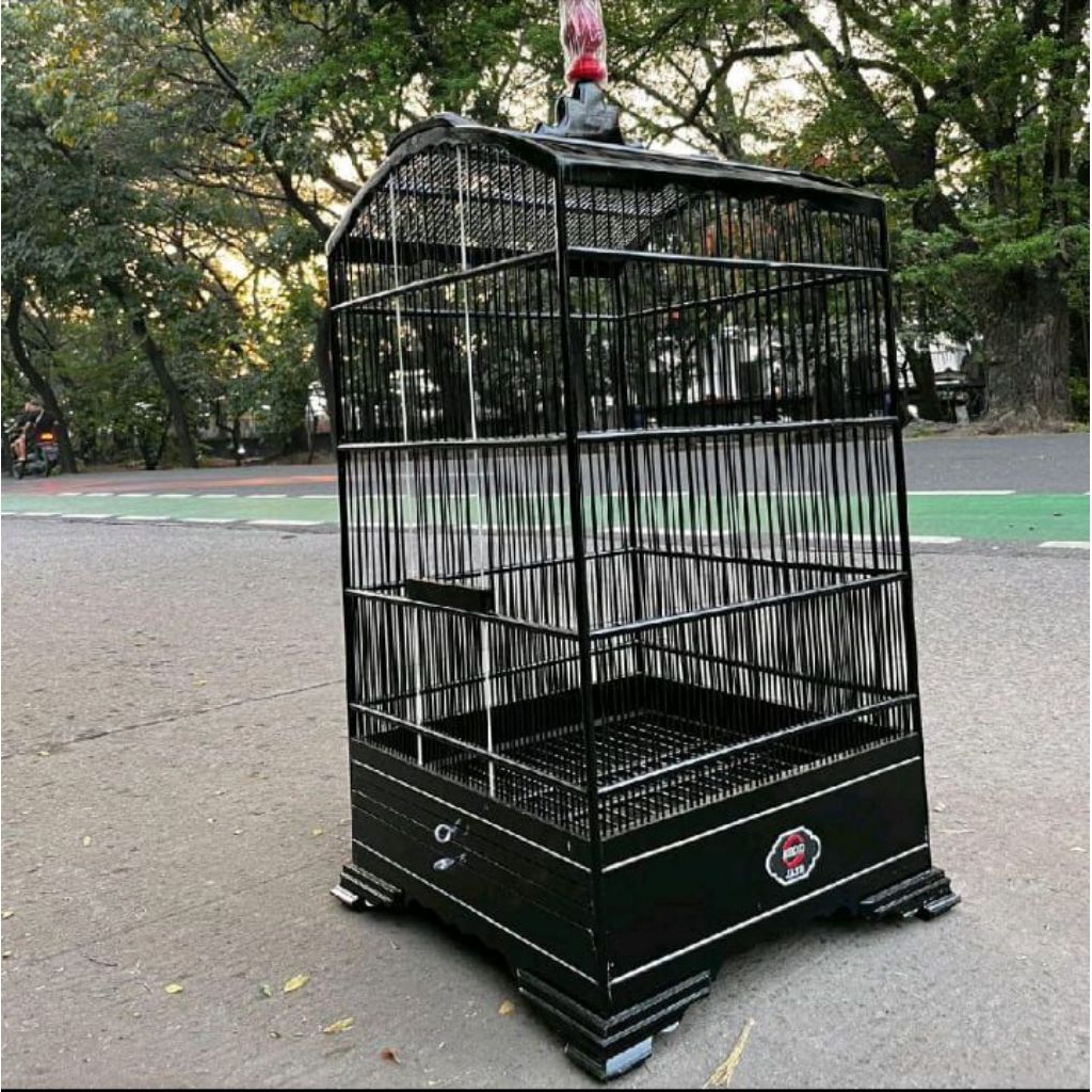 sangkar kosan ebod 40x40 ebod kosan