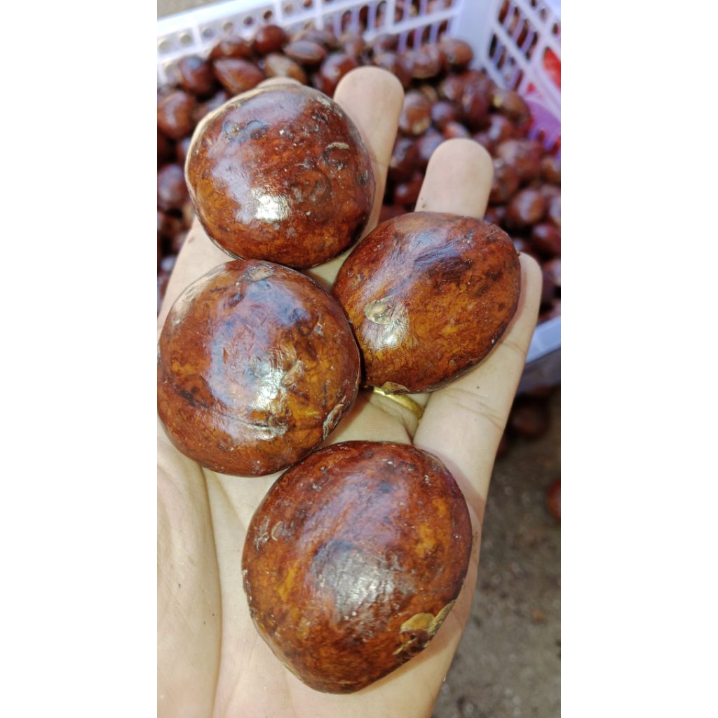 jengkol rendang 500 gram