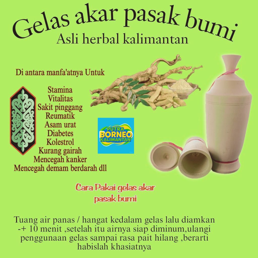 Gelas pasak bumi Kalimantan original asli gelas tongkat ali Kalimantan