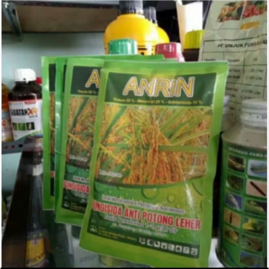 FUNGISIDA MEMGATASI POTONG LEHER PADA TANAMAN PADI