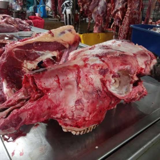 Tulang kepala sapi lokal fresh dan segar