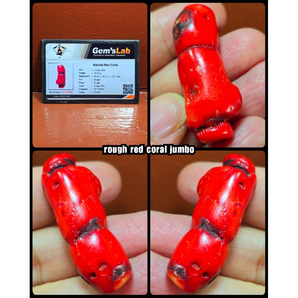 original batu marjan coral asli laut merah jumbo ( rough )