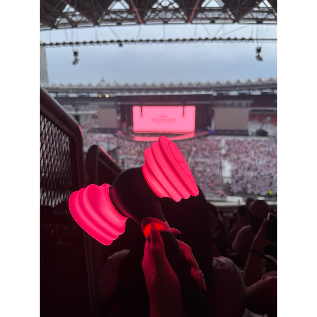 LIGHSTICK BLACKPINK SPECIAL EDITION