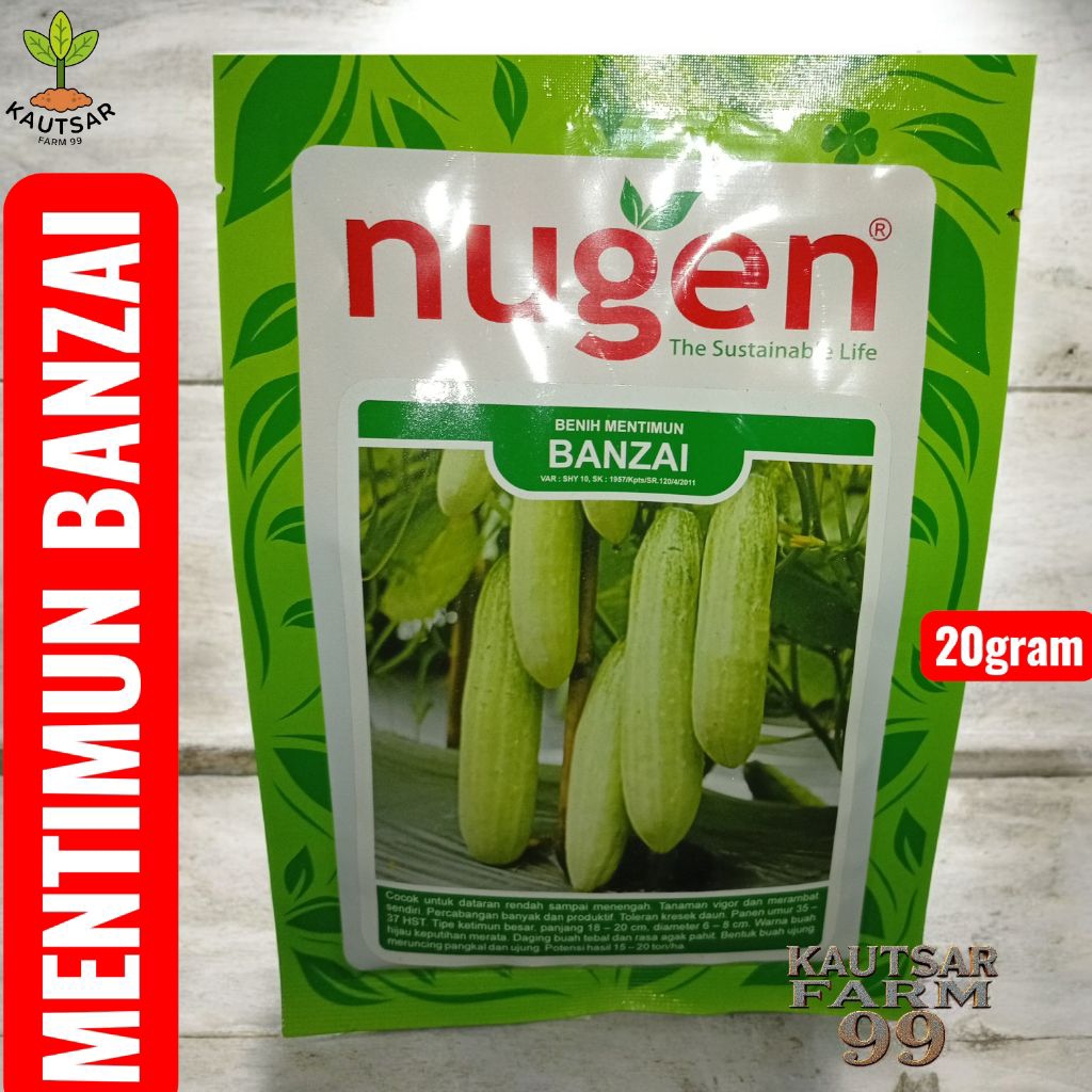 Benih mentimun Banzai 20 gram Nugen