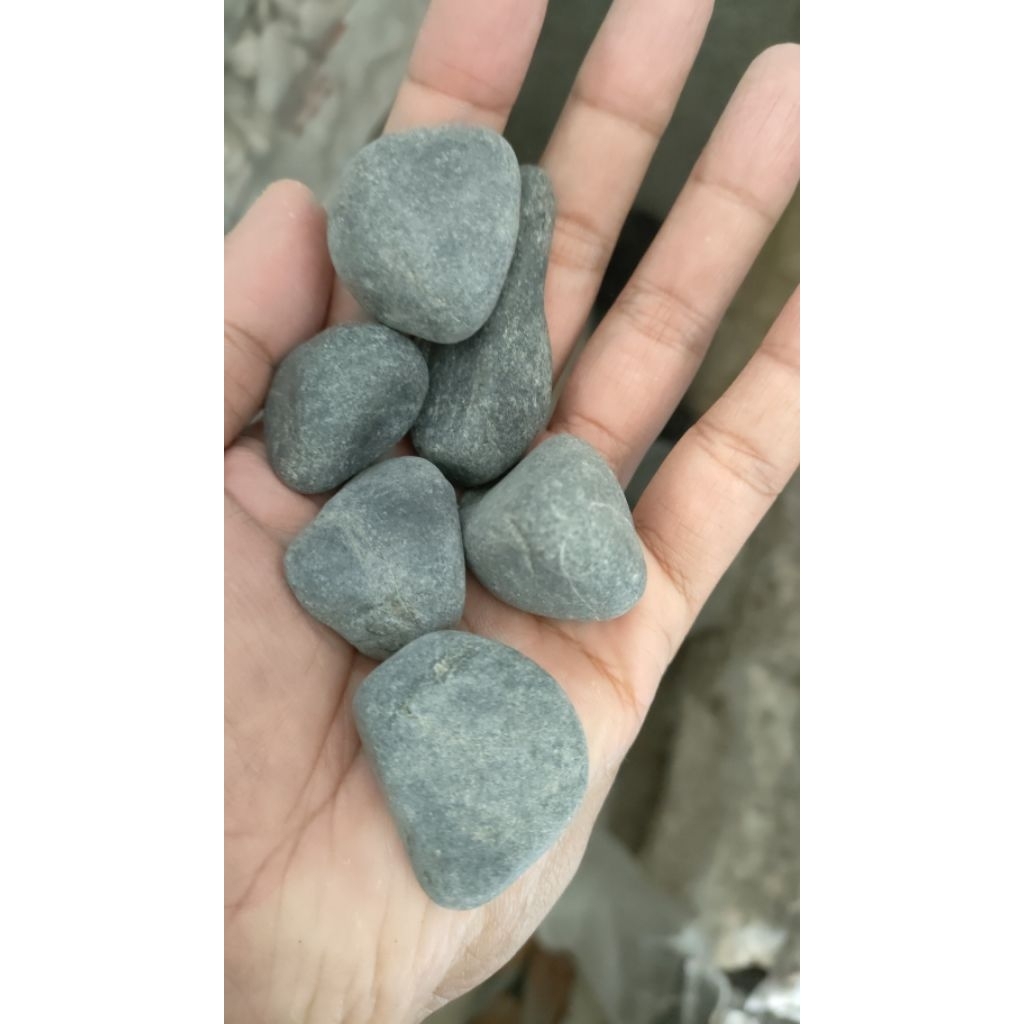 coral hitam besar batu taman, batu aquarium, batu hias, batu pot