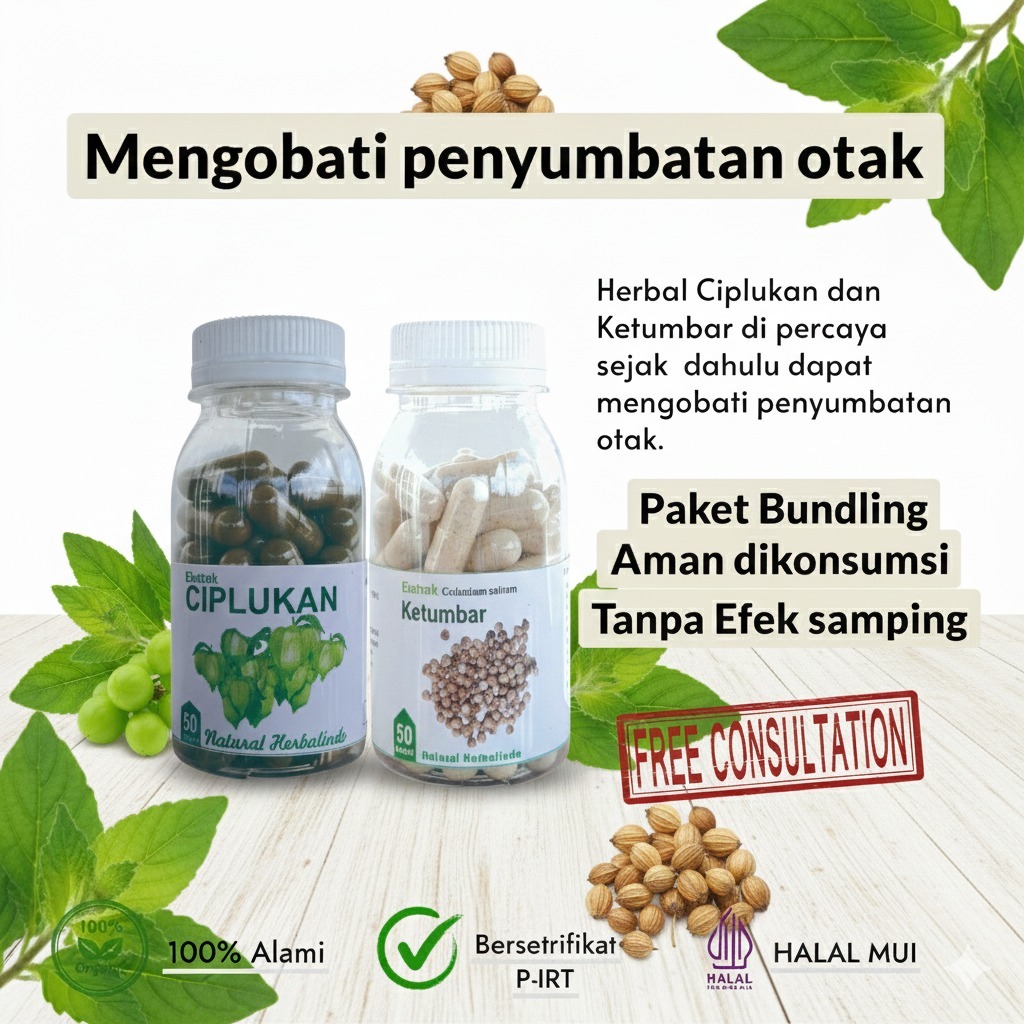 obat penymbatan konorer herbal ketumbar stroke suplemen saraf otak ciplukan kapsul