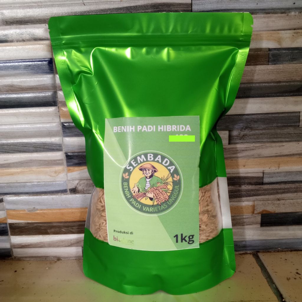 (1KG)BENIH PADI HIBRIDA SEMBADA 626