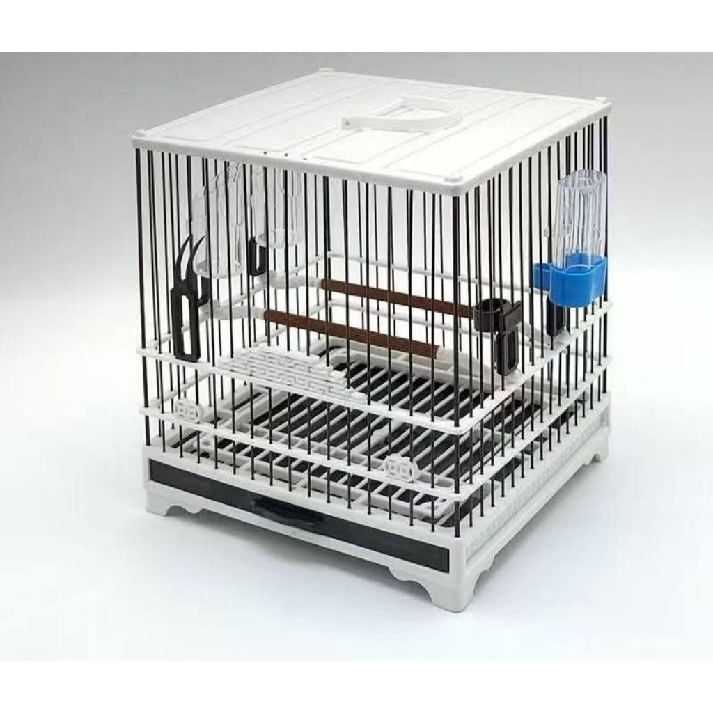 sangkar kotak plastik ukuran 20cm.x 20ncm