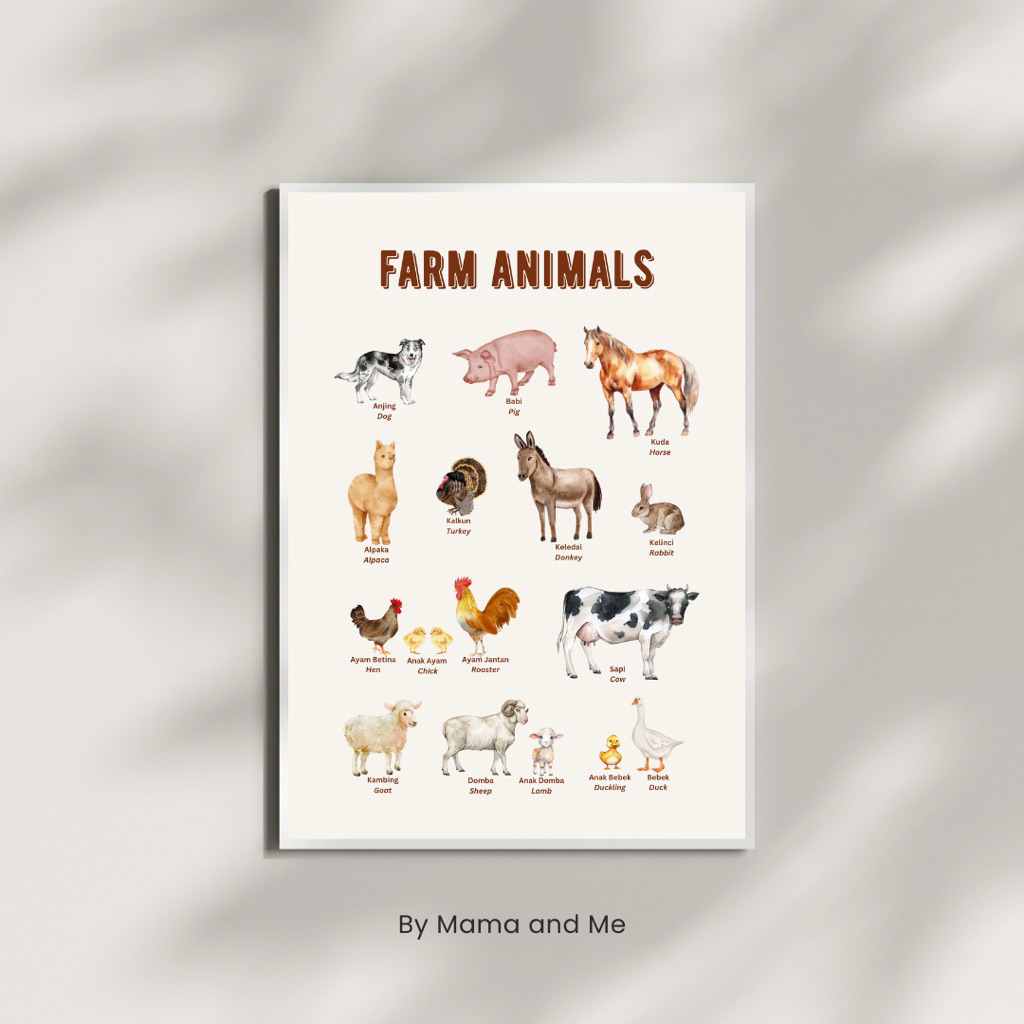 Farm Animal Poster Hewan Ternak Montessori Anak