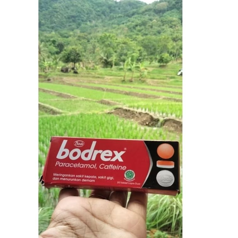 Bodrex obat sakit Kepala