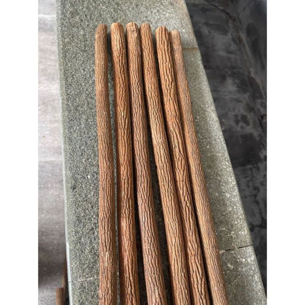 tangkringan asem jawa