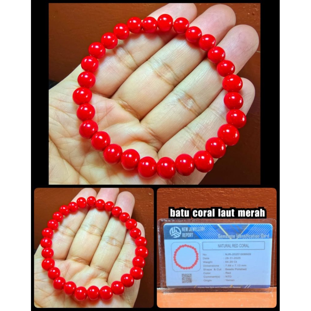 original batu Marjan coral asli laut merah ( bentuk gelang )