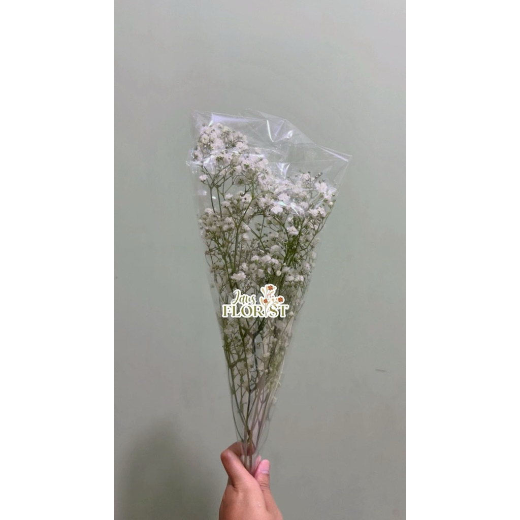 Bunga Baby Breath Fresh