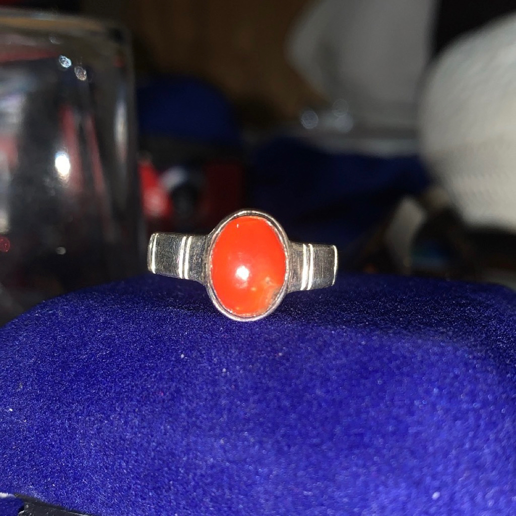 Batu Marjan Tunisia Laut Merah Natural Asli