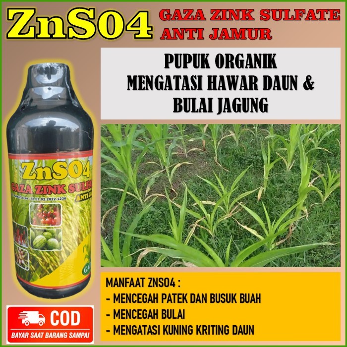 pupuk ZNSO4 Gaza Zink Sulfate 500 ML mengatasi hawar daun jagung & bulai tanaman jagung
