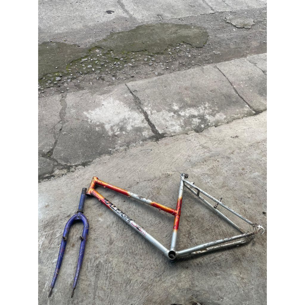 Frame Raleigh Usa 19