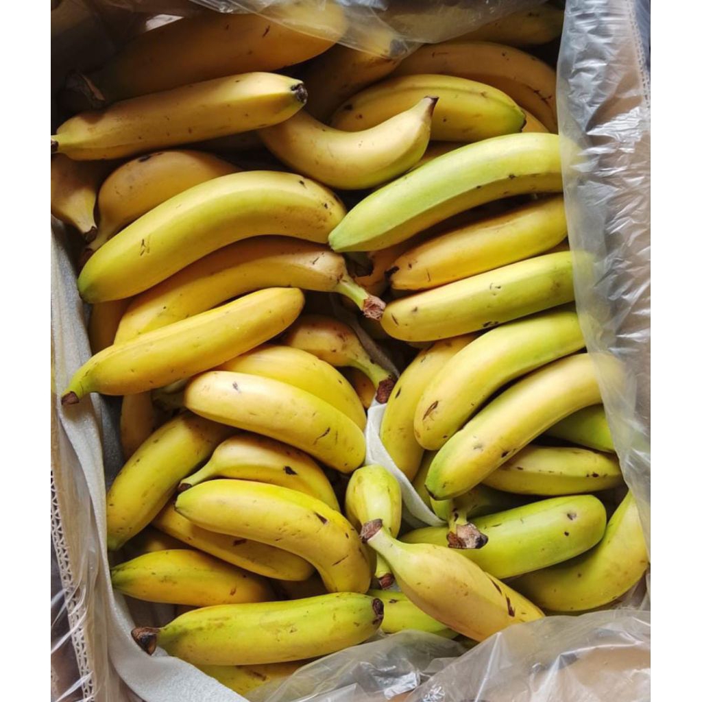 PisangFB Sunpride 4 box