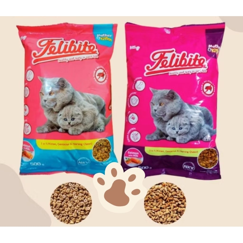 FELIBITE MOTHER & KITTEN