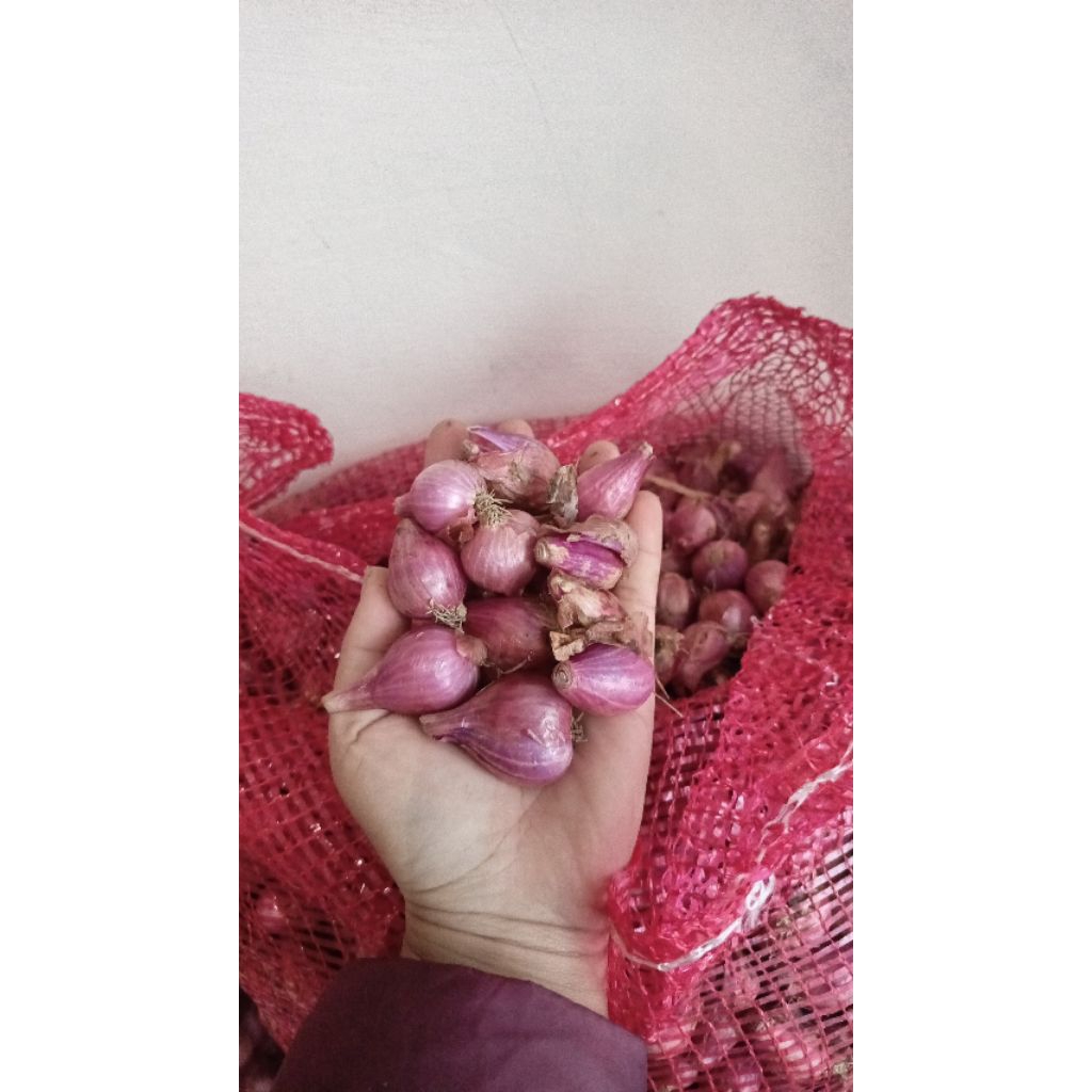 bawang merah nganjuk