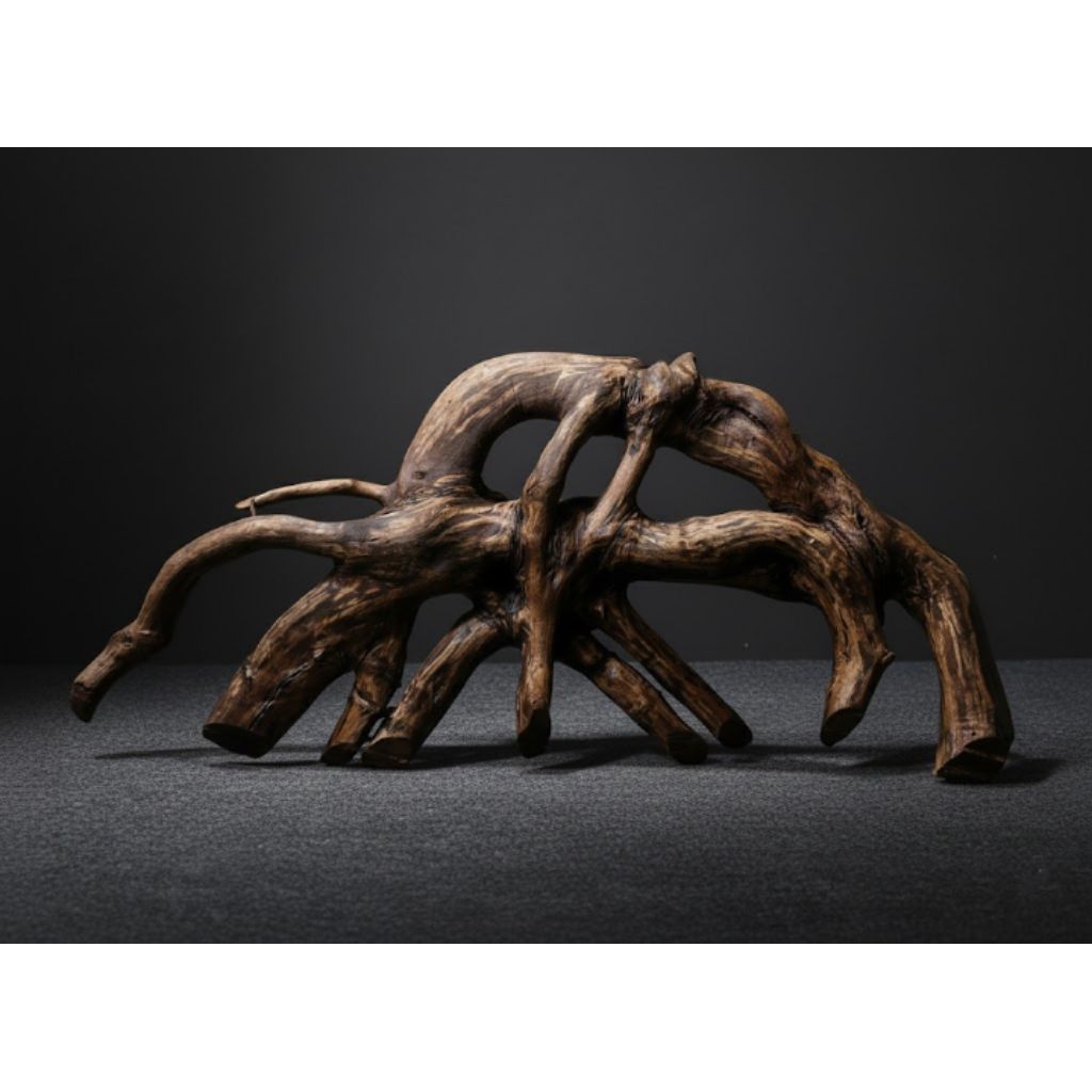 kayu rentek Aquascape berkarakter size xl