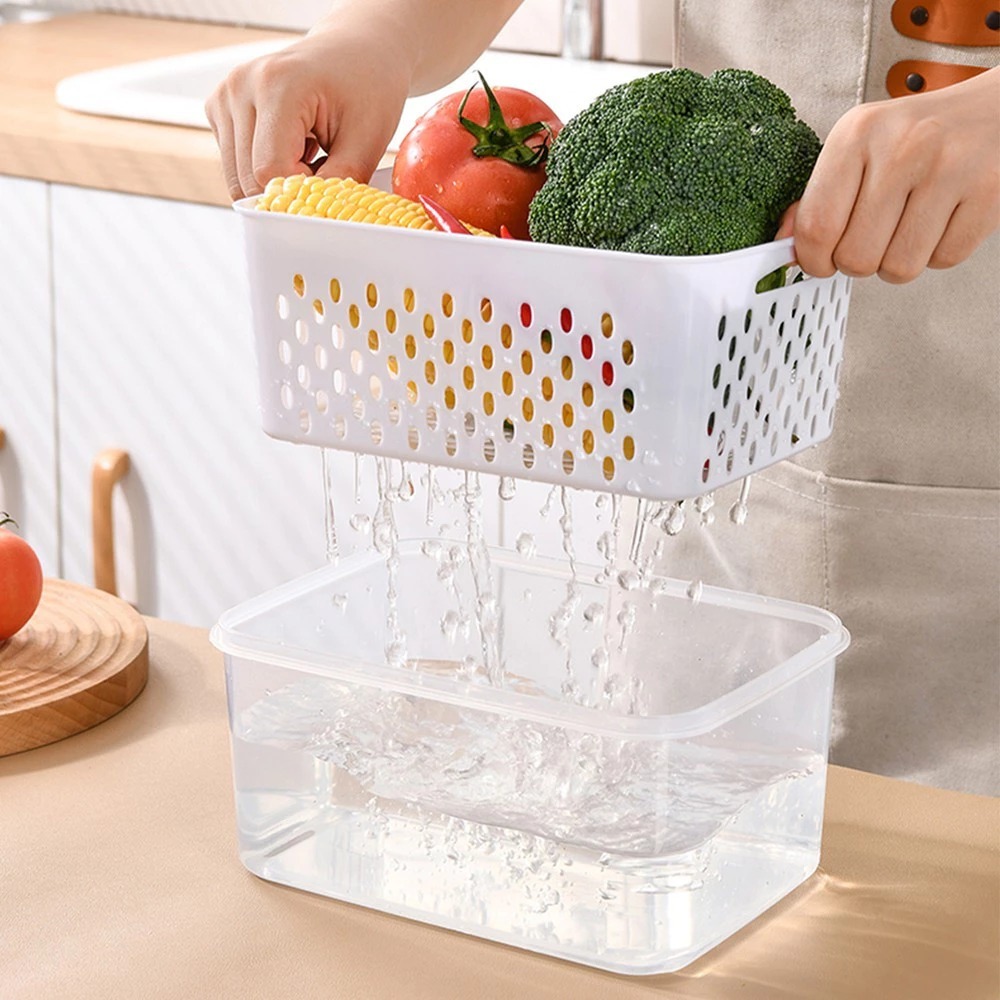 Best Deals Pxton - Food Container / Kotak Tempat Penyimpanan Makanan / Rak Kulkas