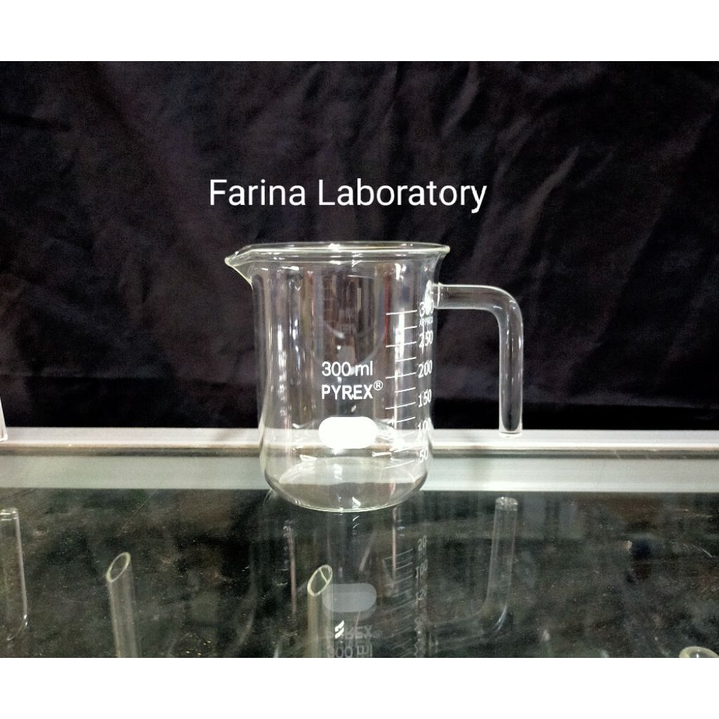 Beaker Handle  Glass-Gelas Kimia 300ml Pyrex
