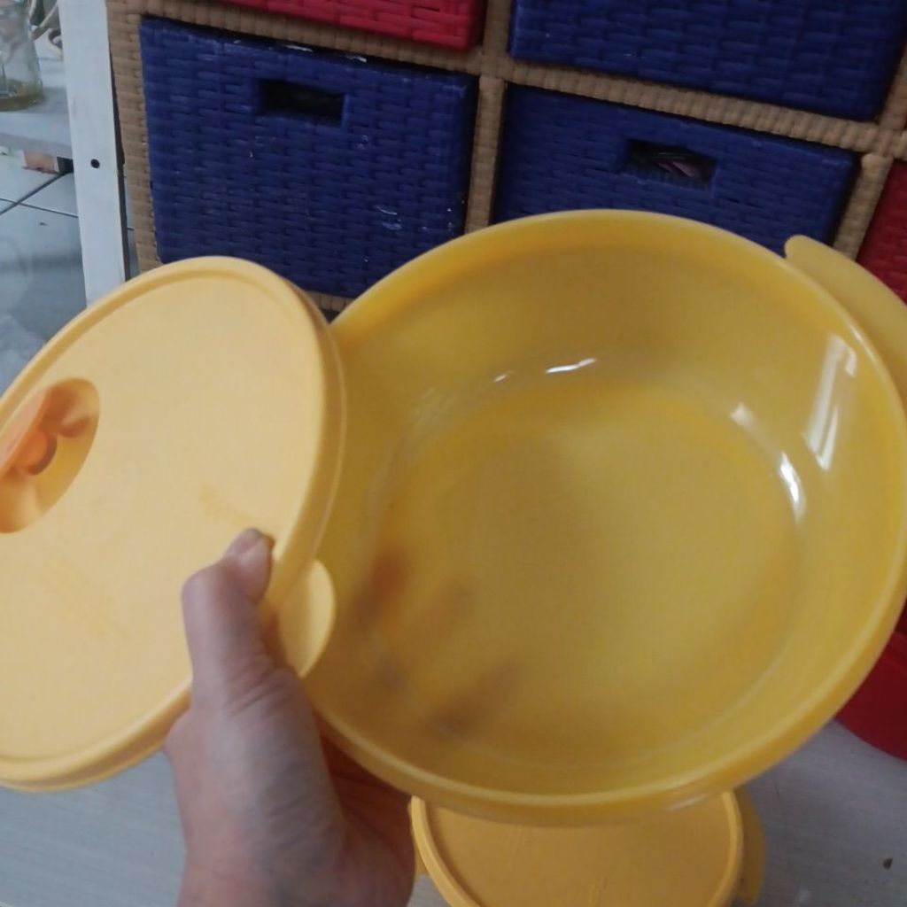 Carry All Bowl Tupperware